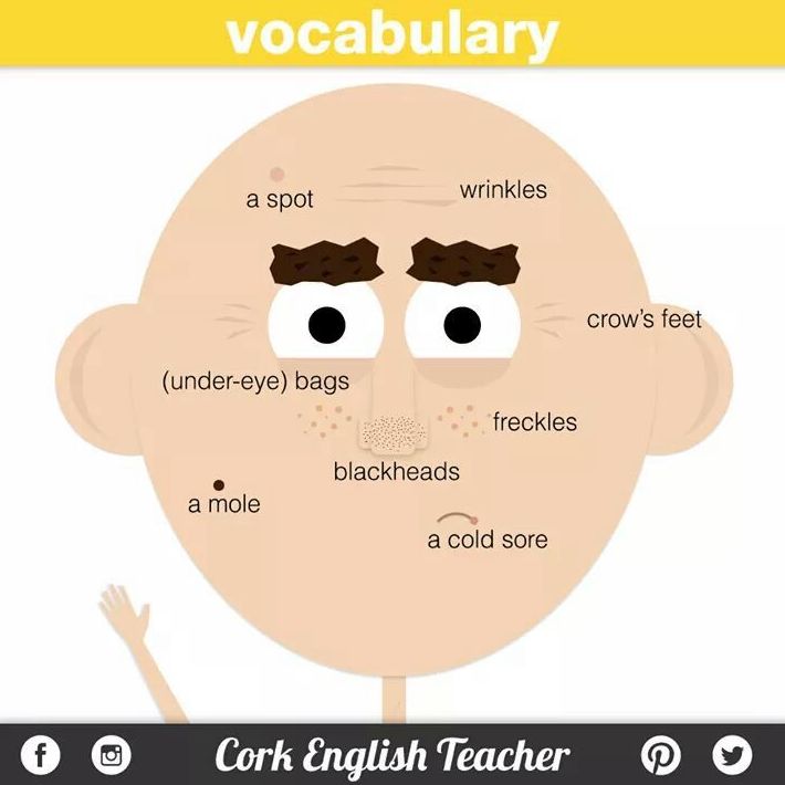 Vocabulary: Face