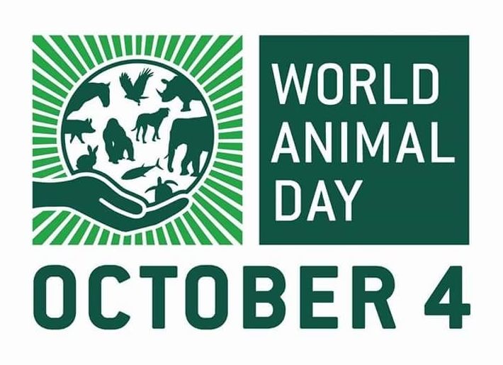 World animal day: 4th October }}
