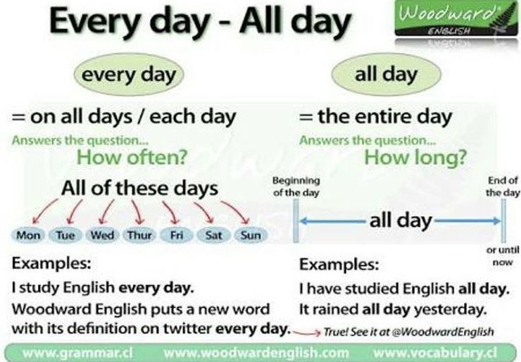Diferencia entre Everyday y All day
