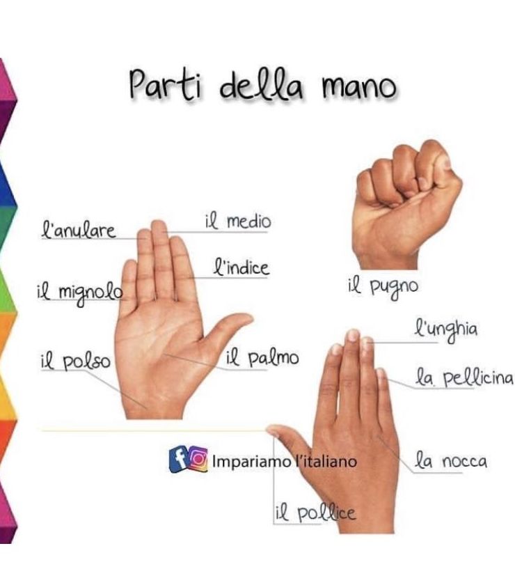 La lengua italiana