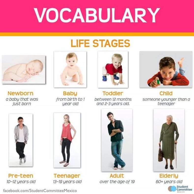 Vocabulary: life stages