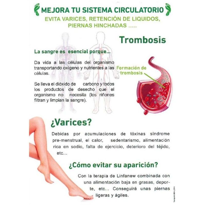 Sistema circulatorio: Servicios de Esther Ruiz Peluquería y Estética Sistema circulatorio: Servicios de Esther Ruiz Peluquería y Estética