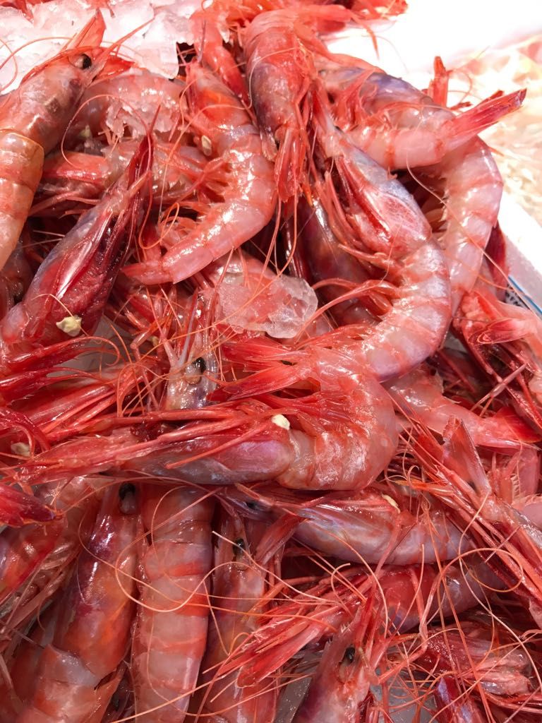 Nuestra pescadería: Que le podemos ofrecer de Sólo Del Mar Nuestra pescadería: Que le podemos ofrecer de Sólo Del Mar