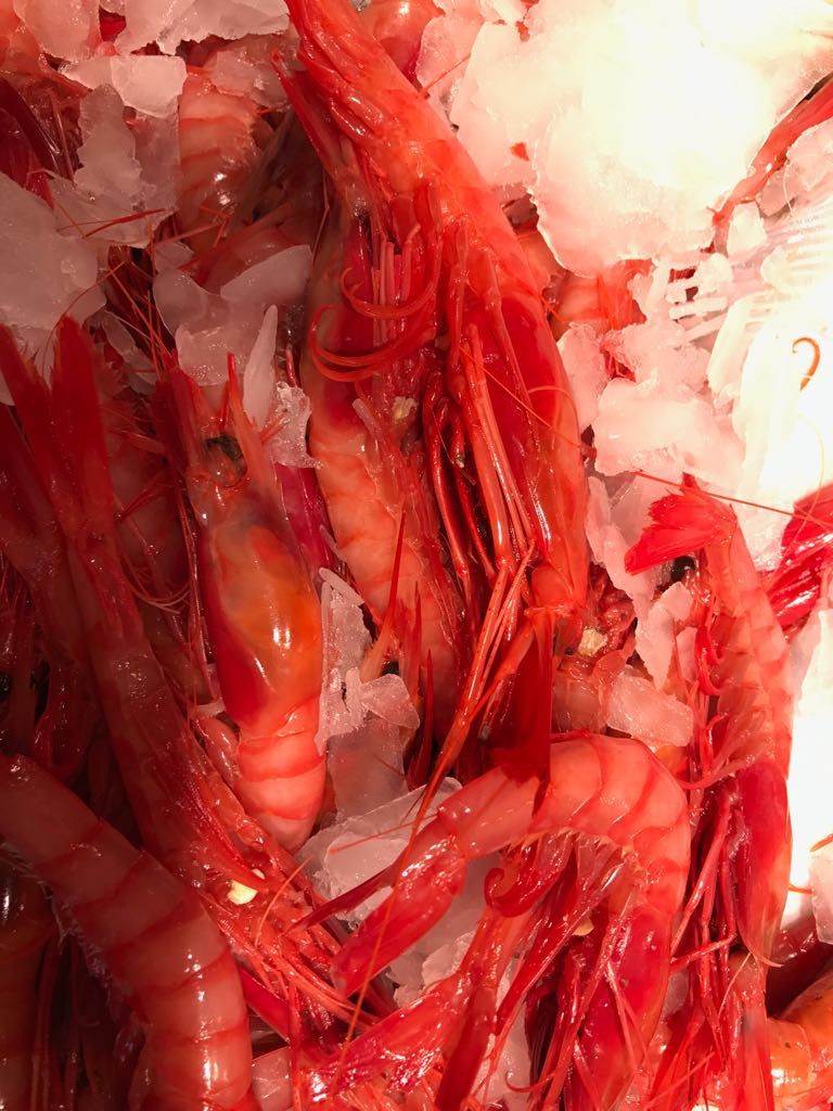Nuestra pescadería: Que le podemos ofrecer de Sólo Del Mar Nuestra pescadería: Que le podemos ofrecer de Sólo Del Mar
