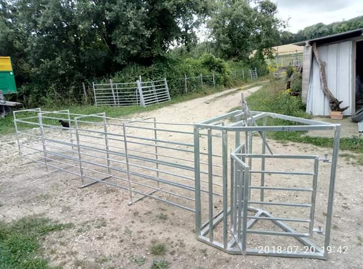 OVCA 47 MANGA DE MANEJO GALVANIZADA: NUESTROS PRODUCTOS de Grupo Medina OVCA 47 MANGA DE MANEJO GALVANIZADA: NUESTROS PRODUCTOS de Grupo Medina