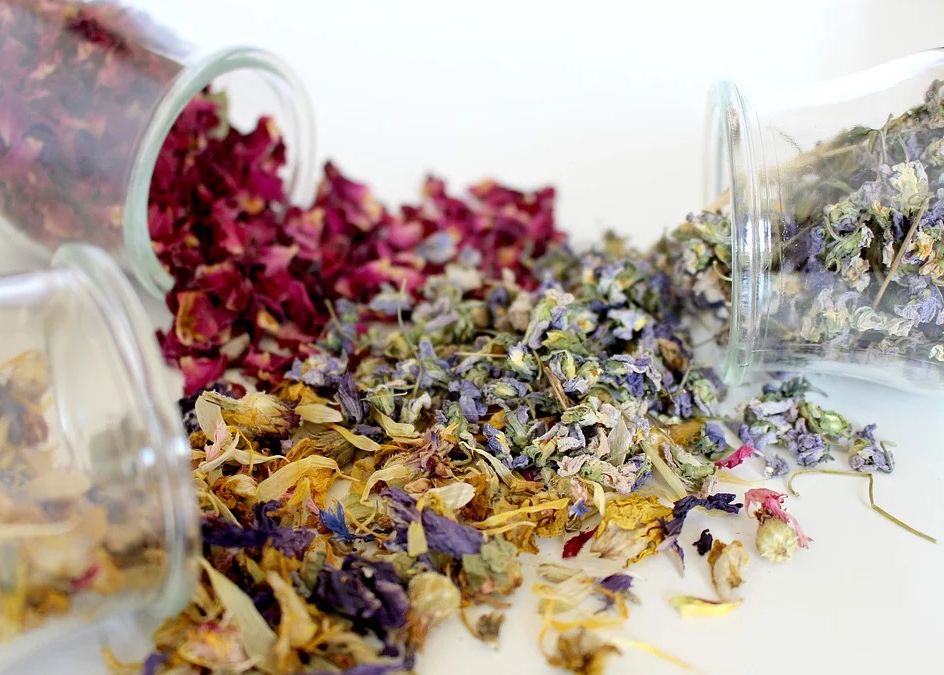 Naturopatía: Servicios de Alqiro Naturopatía: Servicios de Alqiro