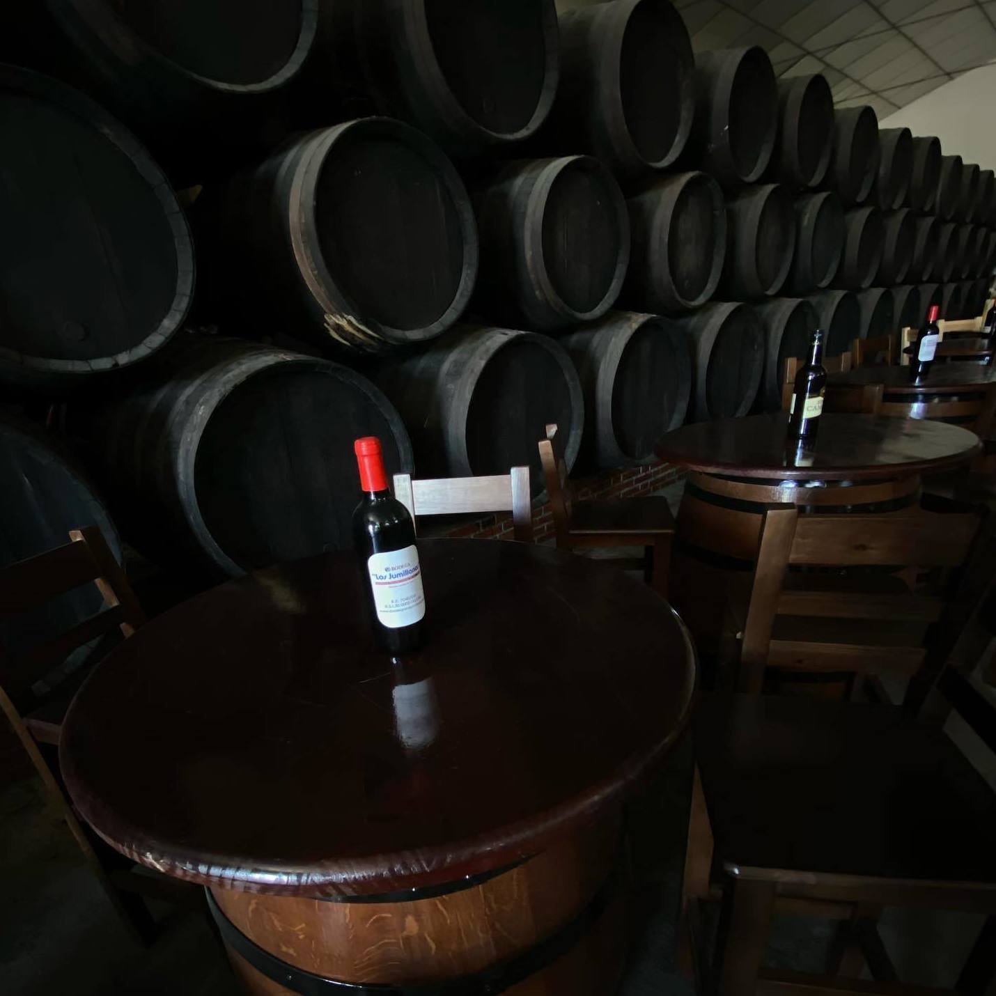 Cata de vinos: Productos de Bodegas Los Jumillanos Cata de vinos: Productos de Bodegas Los Jumillanos