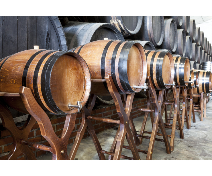 Bodega de los mejores vinos de Granada