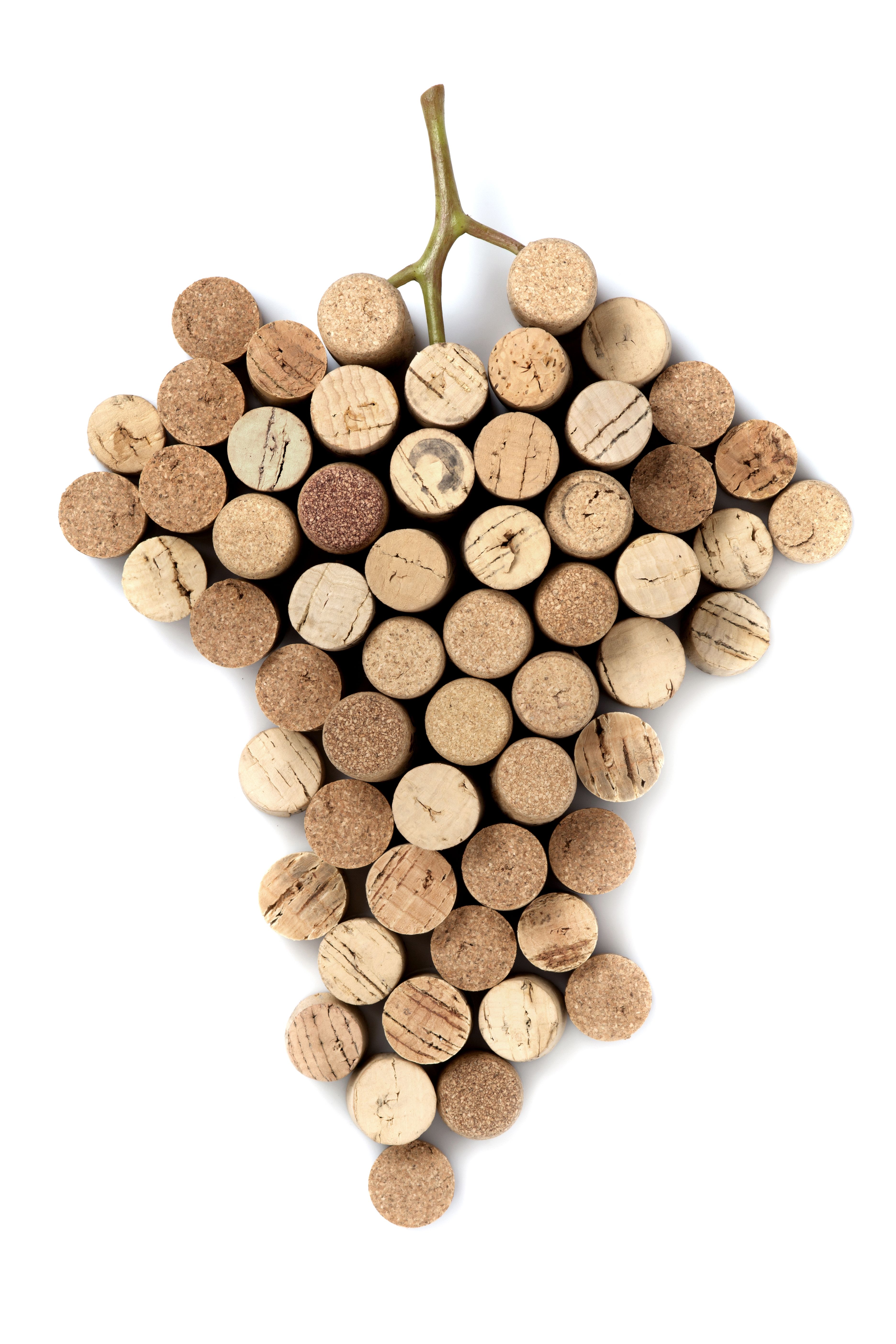 Corchos y Botellas: Productos de Bodegas Los Jumillanos Corchos y Botellas: Productos de Bodegas Los Jumillanos