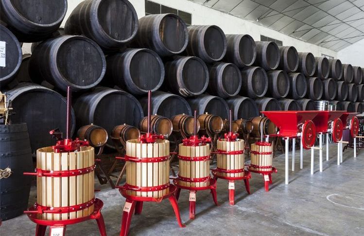 Maquinaria: Productos de Bodegas Los Jumillanos Maquinaria: Productos de Bodegas Los Jumillanos