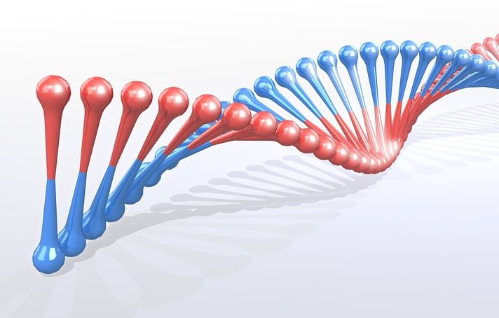 Biomedicina Integrativa: Servicios de Espai 6 de Salut Biomedicina Integrativa: Servicios de Espai 6 de Salut