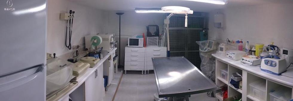 Servicios que ofrecen : Servicios de Hospital Veterinario Dr. Alonso Martinez Servicios que ofrecen : Servicios de Hospital Veterinario Dr. Alonso Martinez