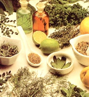 Fitoterapia: Nuestros Tratamientos de Healthy Back Fitoterapia: Nuestros Tratamientos de Healthy Back