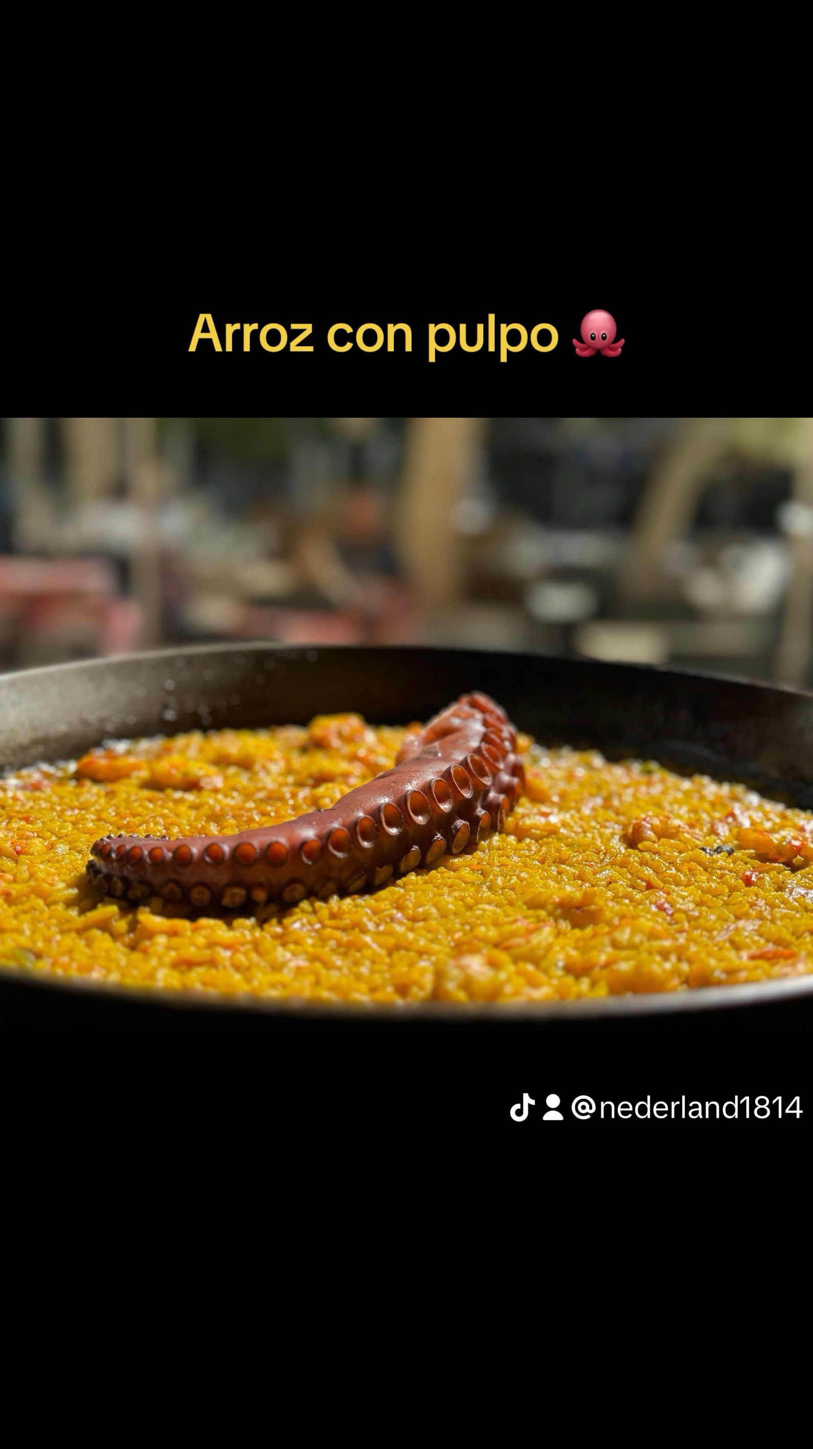 Arroz con pulpo