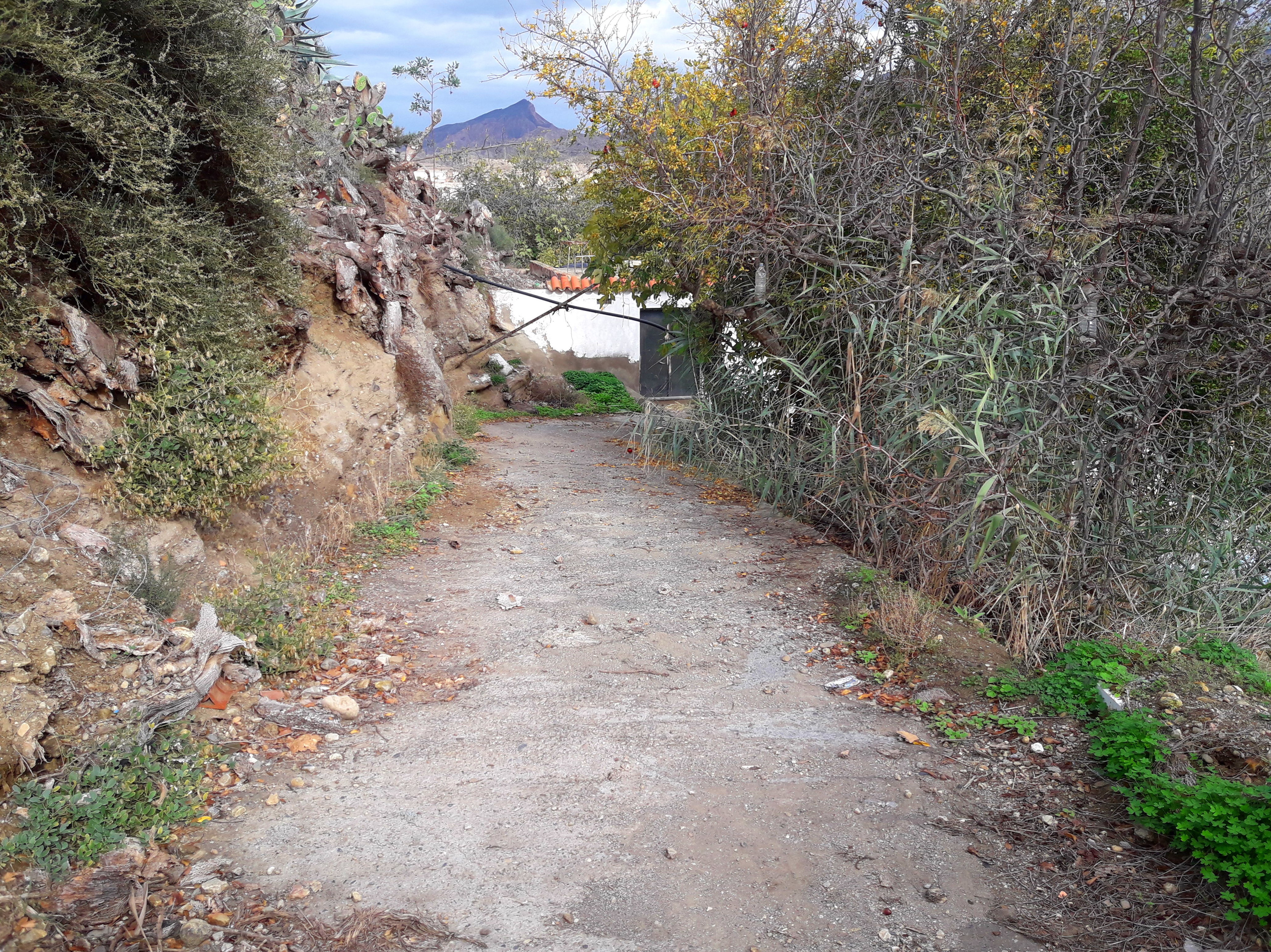 PARCELA EN BENAHADUX: Servicios de Asesoría Castillo y Moreno PARCELA EN BENAHADUX: Servicios de Asesoría Castillo y Moreno