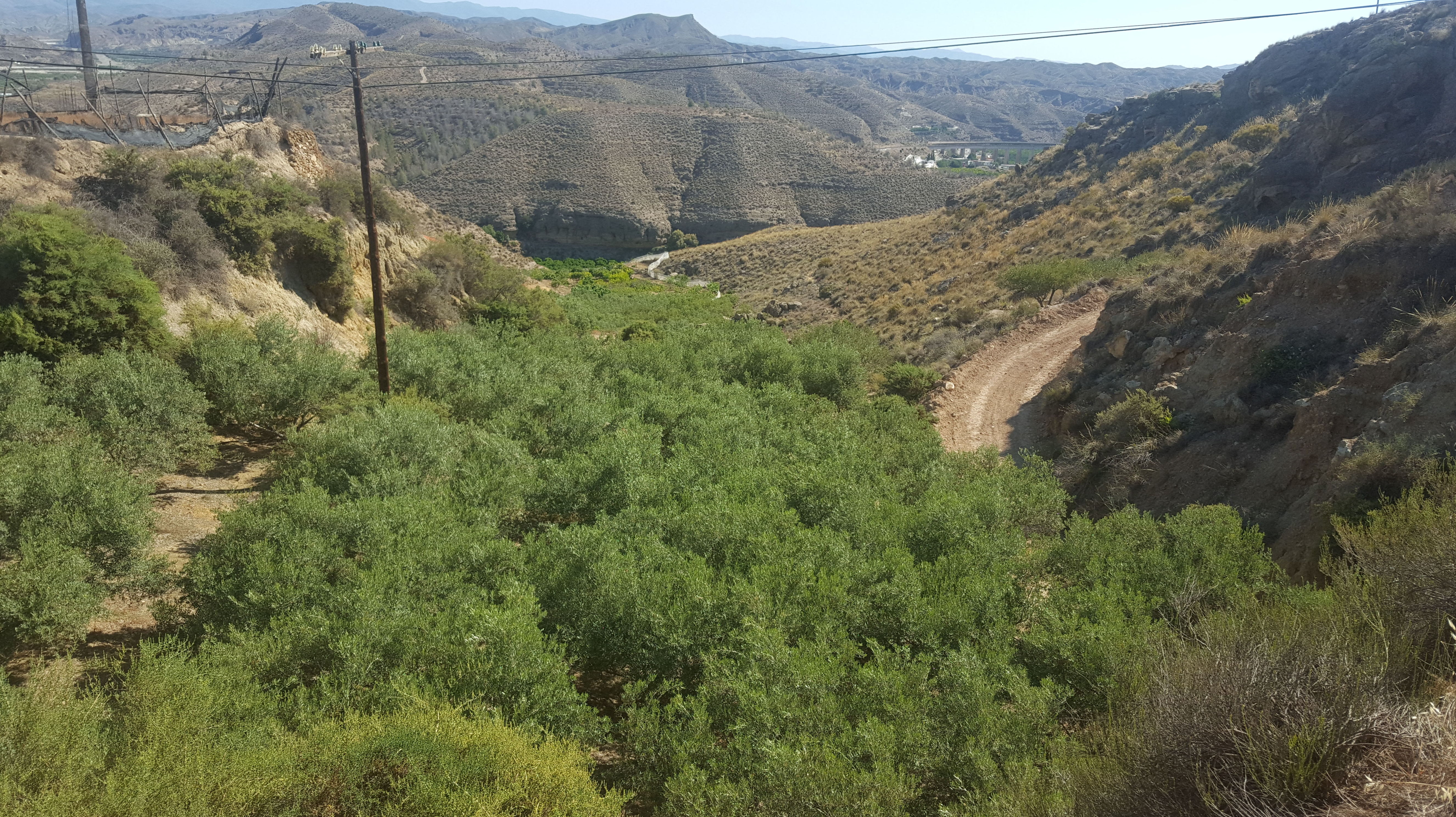 Finca y Piso en Alhama de Almeria: Servicios de Asesoría Castillo y Moreno Finca y Piso en Alhama de Almeria: Servicios de Asesoría Castillo y Moreno