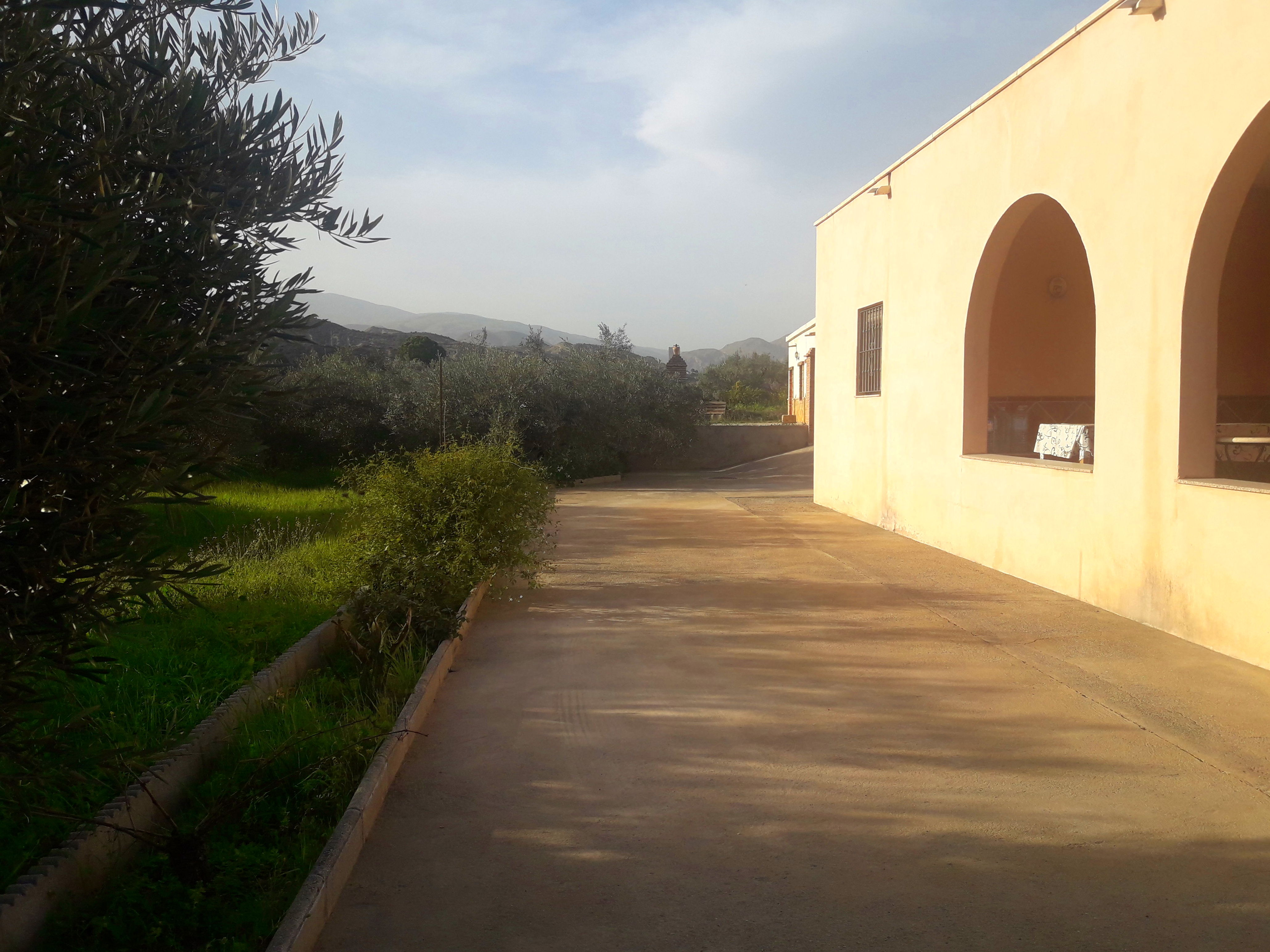 PARCELA EN ALSODUX: Servicios de Asesoría Castillo y Moreno PARCELA EN ALSODUX: Servicios de Asesoría Castillo y Moreno