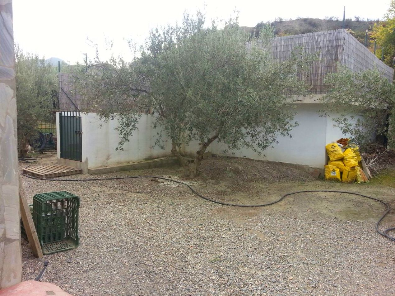 PARCELA CON CORTIJO EN ALSODUX: Servicios de Asesoría Castillo y Moreno PARCELA CON CORTIJO EN ALSODUX: Servicios de Asesoría Castillo y Moreno