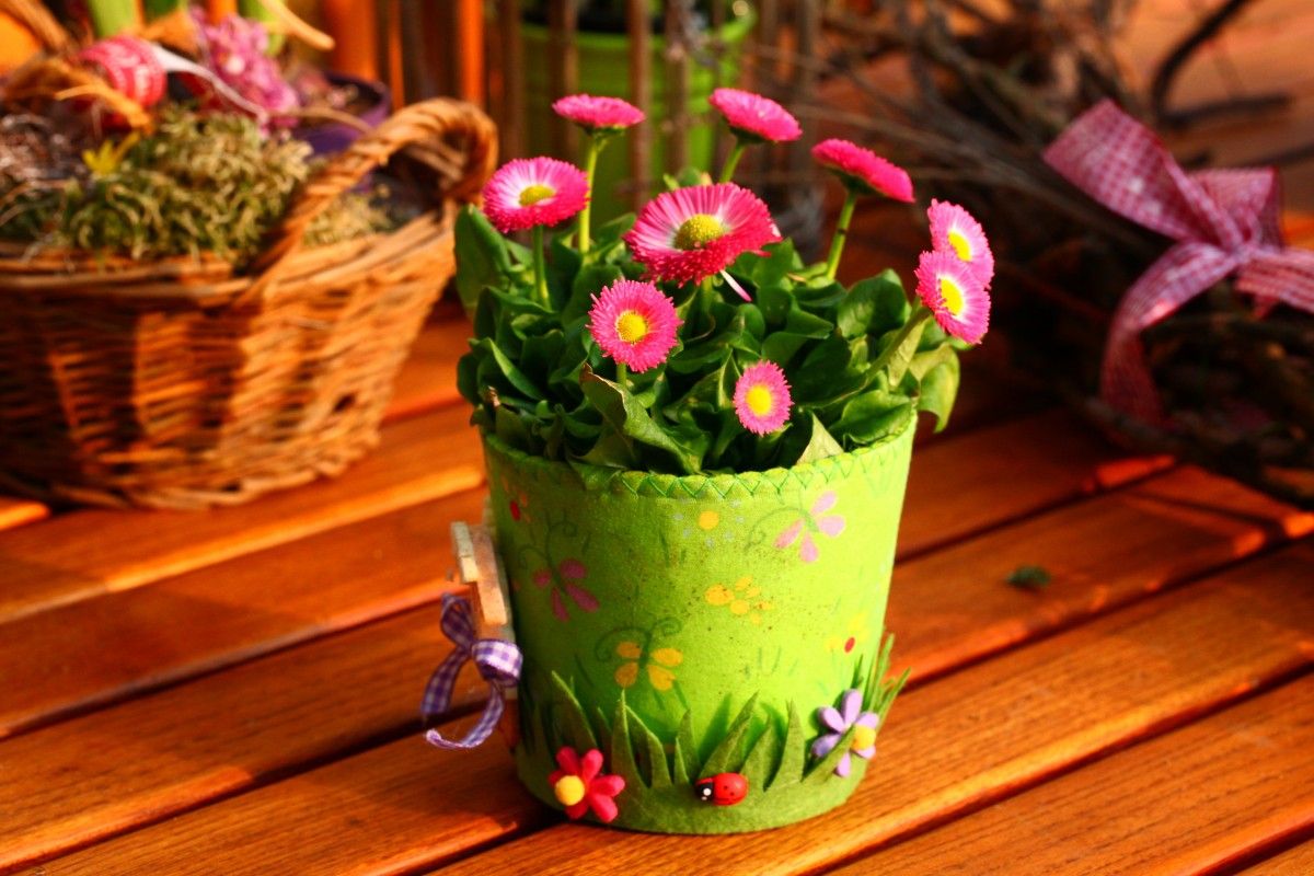 Plantas en canastas y centros: Catálogo de Iberflor Decoración y Diseño Floral Plantas en canastas y centros: Catálogo de Iberflor Decoración y Diseño Floral