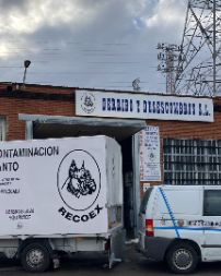 business image