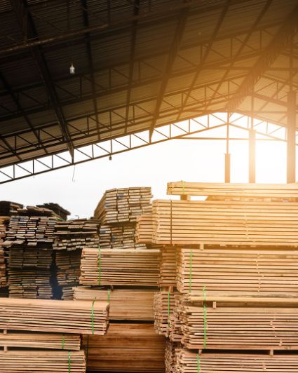 business image