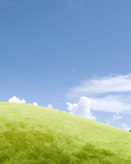 business image